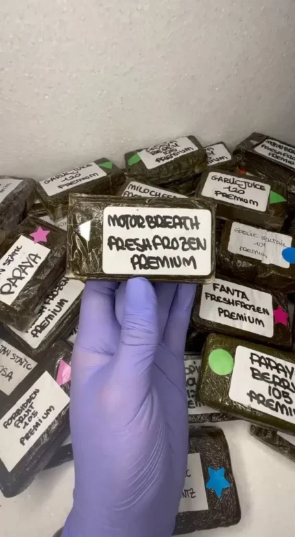 Anonymuz Frozen Hash