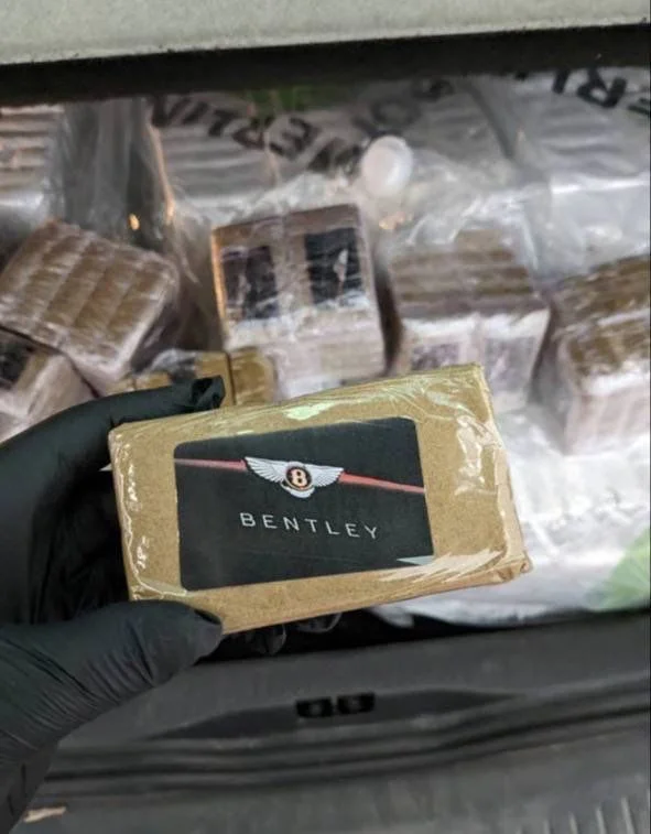 Bentley Mousse Bentley Mousse