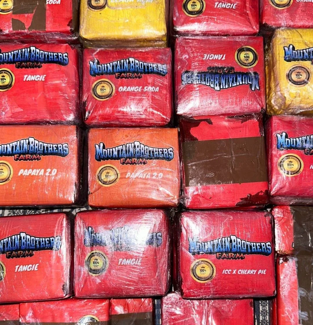 Mountain Brothers Mountain Brothers