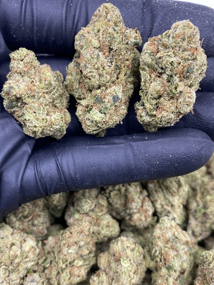 CHERRY RUNTZ CHERRY RUNTZ